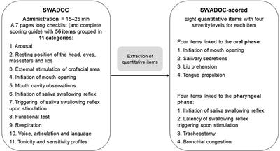 The Development and Validation of the SWADOC: A Study Protocol for a Multicenter Prospective Cohort Study